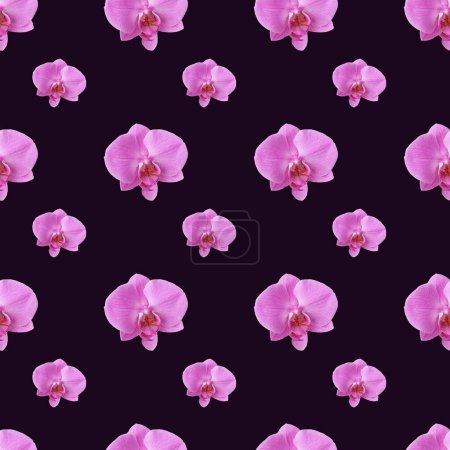 Foto de Hermoso patrón sin costura de flores de orquídea rosa. Patrón de orquídeas para el diseño sobre fondo púrpura oscuro. - Imagen libre de derechos
