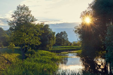 Téléchargez les photos : Beau paysage de rivière au coucher du soleil en été. - en image libre de droit