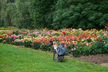 Téléchargez les photos : Minsk, Biélorussie - 01 SEPTEMBRE 2017 : Artiste peint de belles fleurs de dahlia dans le jardin botanique. Minsk, Bélarus. - en image libre de droit