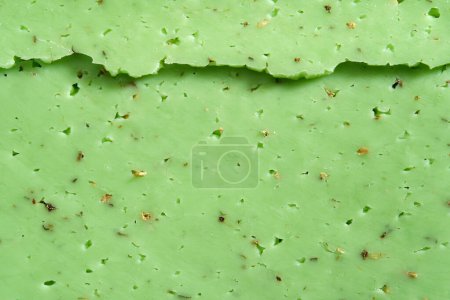 Foto de Textura de queso pesto verde con hierbas y frutos secos. - Imagen libre de derechos