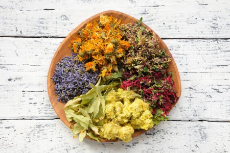 Photo for Wooden plate of medicinal herbs - lavender, calendula, red clover, helichrysum, lime tree flowers - ingredients for making of herbal medicine drugs, tea or infusion. Alternative herbal medicine. - Royalty Free Image