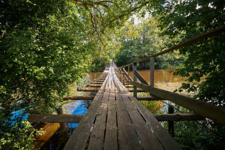Téléchargez les photos : Pont suspendu en bois. Pont suspendu piéton sur la rivière Naroch entre les villages de Ruchitsa et Krasnica. District de Vileika, région de Minsk, Biélorussie. - en image libre de droit