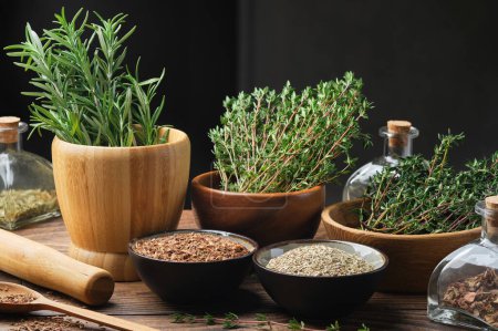 Photo for Bowls of dry different healing plants and fresh green medicinal herbs - rosemary and thyme. Bottles of dry medicinal herb for making tinctures or infusions. Alternative herbal medicine. - Royalty Free Image