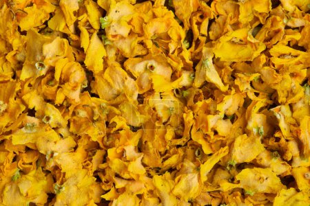 Common mullein healing herbs. Dried flowers of woolly mullein. Background of dry verbascum thapsus medicinal plants. Alternative herbal medicine.