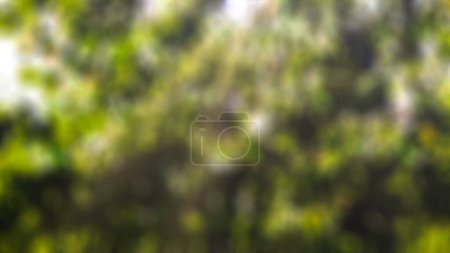 Photo for Creative blurred backdrop of green trees, bushes and grass with shadows and sunlight. Springtime. - Royalty Free Image