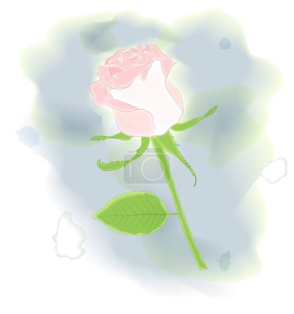 acuarela rosa. ilustración vectorial