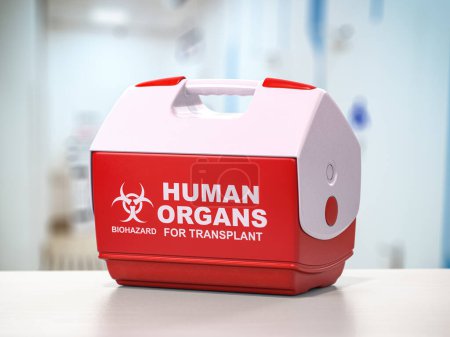 Foto de Órgano humano para caja frigorífica de trasplante. ilustración 3d - Imagen libre de derechos