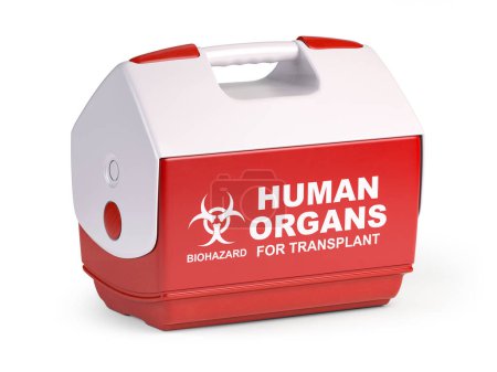 Foto de Órgano humano para trasplante refrigerador aislado en blanco. ilustración 3d - Imagen libre de derechos