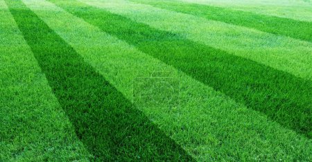 Photo for Artificial turf of soccer football field - Royalty Free Image