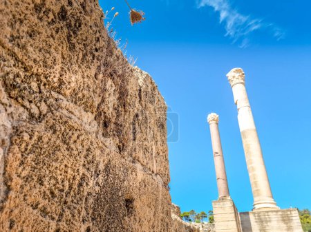archäologische Stätte von Karthago, Thunfisch