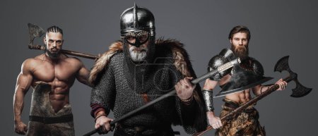 Photo for Studio shot of old man viking with two barbarians against gray background. - Royalty Free Image