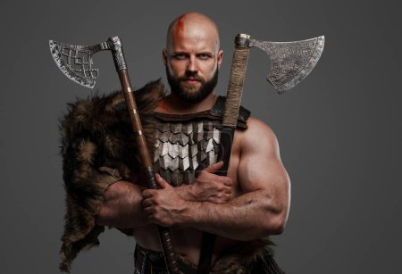 Photo for A rugged, bald, bearded Viking dressed in fur and light armor, with a helmet attached to his belt, holding two axes on a gray background - Royalty Free Image