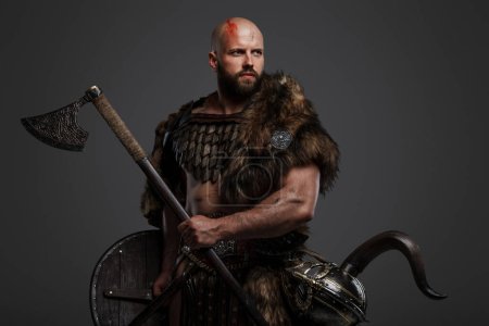 Photo for A rugged, bald, bearded Viking dressed in fur and light armor, with a helmet attached to his belt, holding an axe and shield against a gray background - Royalty Free Image
