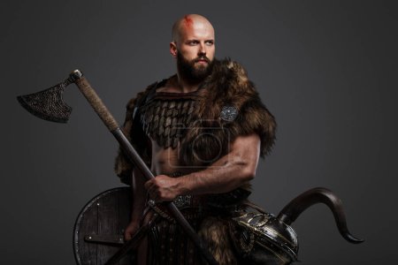 Photo for An intimidating, bald, bearded Viking donning fur and lightweight armor, keeping a helmet fastened to his belt, gripping a menacing axe and shield on a gray backdrop - Royalty Free Image