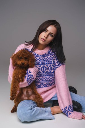 Photo for Alluring brunette in rose-hued knitwear cradling her cherished toy poodle as she poses seated, complemented by a muted studio background - Royalty Free Image