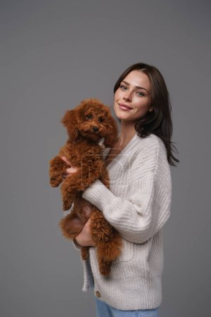 Foto de Encantadora chica en un suéter blanco sosteniendo su adorado caniche de juguete marrón contra un fondo de estudio gris - Imagen libre de derechos