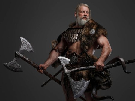 Téléchargez les photos : Guerrier Viking barbu aux cheveux gris mûrs en fourrure et armure légère, brandissant deux énormes axes sur un fond neutre - en image libre de droit