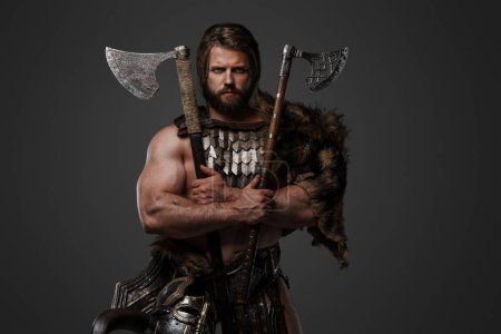 Photo for A rugged bearded Viking warrior dressed in fur and lightweight armor, with a helmet attached to his belt and holding two axes against a gray background - Royalty Free Image