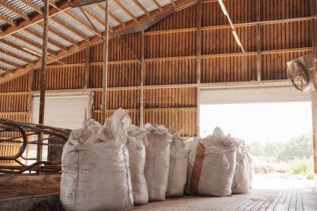 Une rangée de grands sacs d'alimentation industriels remplis soigneusement alignés à l'intérieur d'une grange de stockage agricole rustique