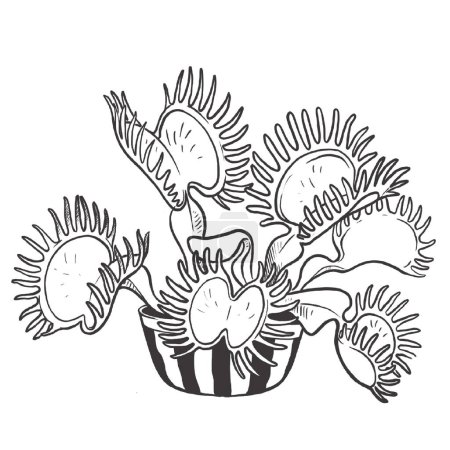 Foto de Dionaea muscipula ilustración artística realista aislada sobre fondo blanco - Imagen libre de derechos