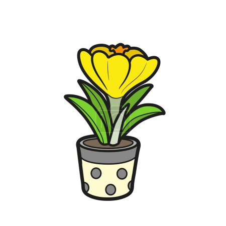 Illustration for Crocus flower grow in a small pot color variatin for  coloring book isolated on white background - Royalty Free Image