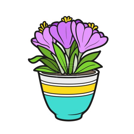 Illustration for Crocus flowers grow in a pot color variatin for  coloring book isolated on white background - Royalty Free Image