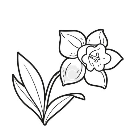 Téléchargez les illustrations : Livre à colorier fleur Narcisse dessin linéaire isolé sur fond blanc - en licence libre de droit