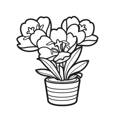 Illustration for Crocus flowers grow in a little pot coloring book linear drawing isolated on white background - Royalty Free Image