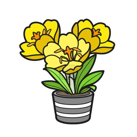 Illustration for Crocus flowers grow in a little pot color variation for coloring book isolated on white background - Royalty Free Image