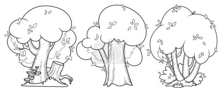 Téléchargez les illustrations : Trois grands vieux arbres à feuilles caduques dessin linéaire pour la coloration isolé sur fond blanc - en licence libre de droit