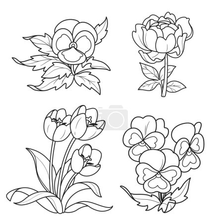 Téléchargez les illustrations : Fleurs printanières culottes, pivoine et tulipes dessin linéaire pour livre à colorier isolé sur fond blanc - en licence libre de droit