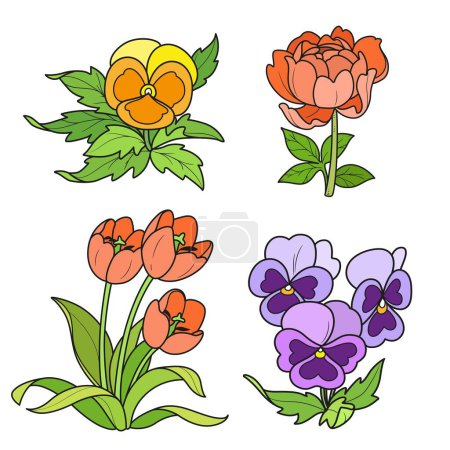 Illustration for Spring flowers pansies, peony and tulips color variation for coloring book isolated on white background - Royalty Free Image