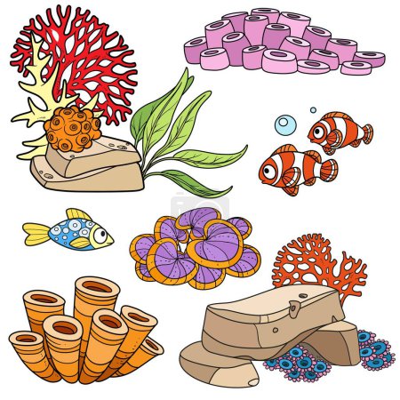 Illustration for Anemones, fishes, sand stones and sponges set coloring book color drawing isolated on white background - Royalty Free Image