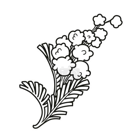 Illustration for Mimosa flower sprig outlined for coloring - Royalty Free Image