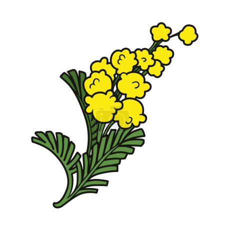 Illustration for Mimosa flower sprig color variation - Royalty Free Image