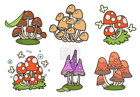 Poisonous mushrooms color variation isolated on white background