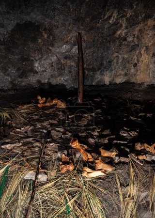 Foto de Reconstrucción de una escena paleolítica inferior en la Grotta Nera. Basovizza Trieste. Italia - Imagen libre de derechos