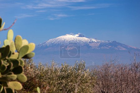 Prickly pear plant and volcano Etna covered with snow in background, Morgantina. Sicily