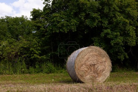 Photo for Hay bale in a Slovenian farm field - Royalty Free Image