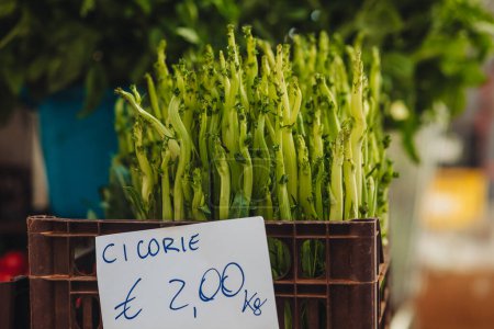 Photo for Fresh raw chicory at the farm market in Puglia - Royalty Free Image