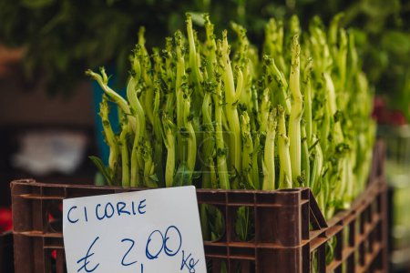 Téléchargez les photos : Chicorée crue fraîche au marché agricole des Pouilles - en image libre de droit