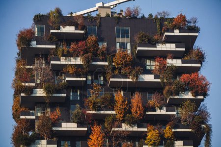 Téléchargez les photos : MILAN, ITALIE - 21 NOVEMBRE 2023 - "Bosco Verticale", forêt verticale à l'automne, concevoir des appartements et des bâtiments dans le quartier "Isola" de la ville de Milan, Italie - en image libre de droit