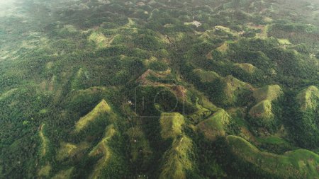 Top down mountain burnt peak grass aerial view: tropic palm trees at jungle Quitinday hills of Mayon, Philippines. Asian mountainous landscape of wild nature. Forest fires autumn concept shot