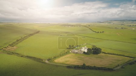 Sun shine at countryside landscape with farm aerial. Green pastures with animals. Rural farmland: cottages and barn at greenery valley. Campbeltown nature, Scotland, Europe. Cinematic sunlight shot