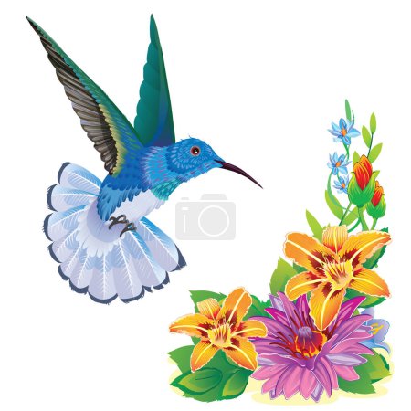 Téléchargez les illustrations : Colibri voltige sur une belle fleur, objet isolé sur fond blanc, illustration vectorielle, eps - en licence libre de droit