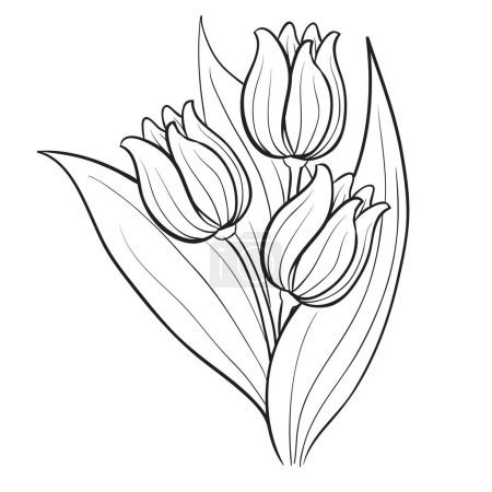 Téléchargez les photos : Tulipe, fleur, croquis, coloriage, objet isolé sur fond blanc, illustration vectorielle, eps - en image libre de droit