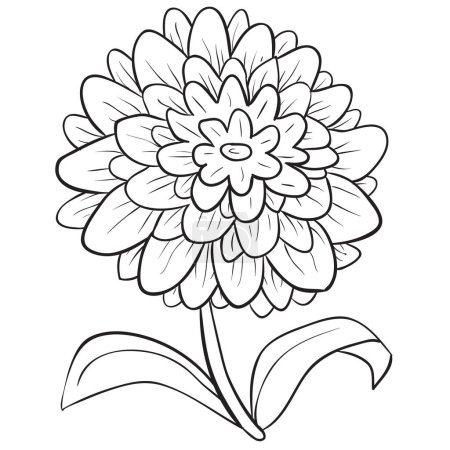 Téléchargez les photos : Dahlia, fleur, croquis, objet isolé sur fond blanc, illustration vectorielle, eps - en image libre de droit