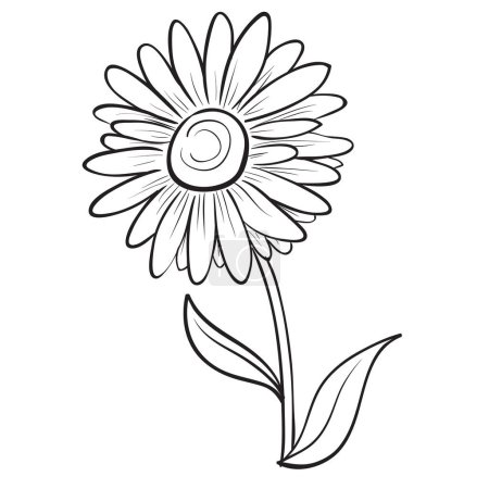 Téléchargez les photos : Camomille, fleur, croquis, coloration, objet isolé sur fond blanc, illustration vectorielle, eps - en image libre de droit