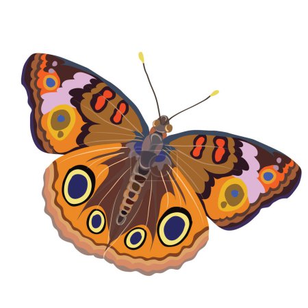 Ilustración de La imagen muestra una colorida ilustración de una mariposa con alas extendidas. Las alas están decoradas con patrones en varios tonos de naranja, marrón y negro, y también tienen manchas similares a los ojos con elementos azules, negros y amarillos. El cuerpo del pero - Imagen libre de derechos