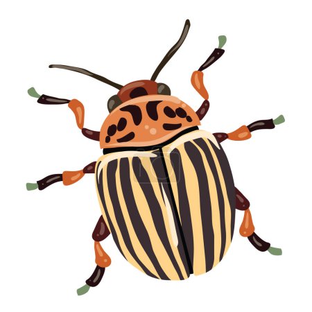 Illustration for The image shows a colorful illustration of a beetle with a patterned shell, stripes and spots in shades of orange, black and white. The beetle has six legs, two antennae and is depicted from above, making it interesting for studying the symmetry and - Royalty Free Image